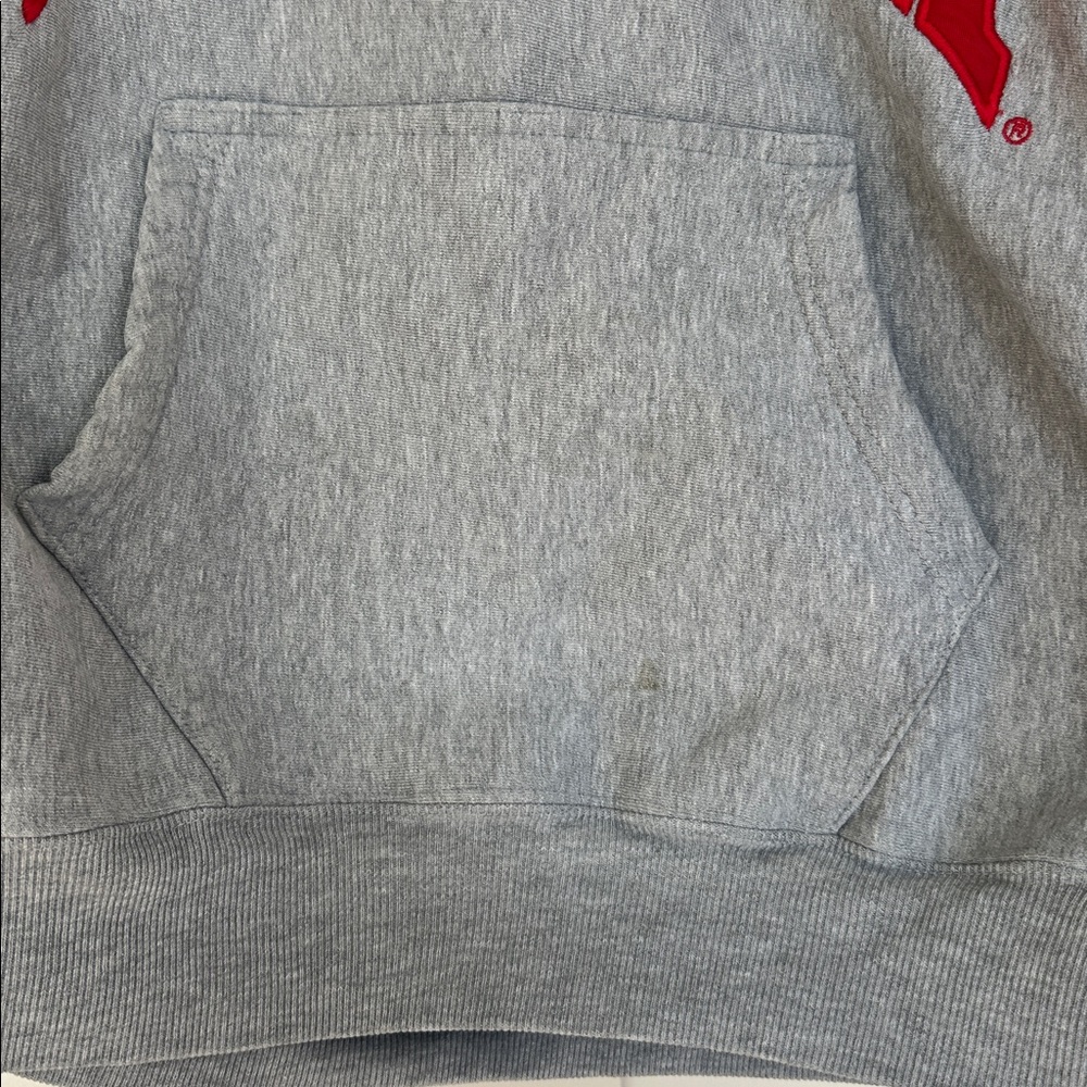 Indiana University Hoosiers Vintsge Hoodie by Steve & Barry's - Picture 11 of 15
